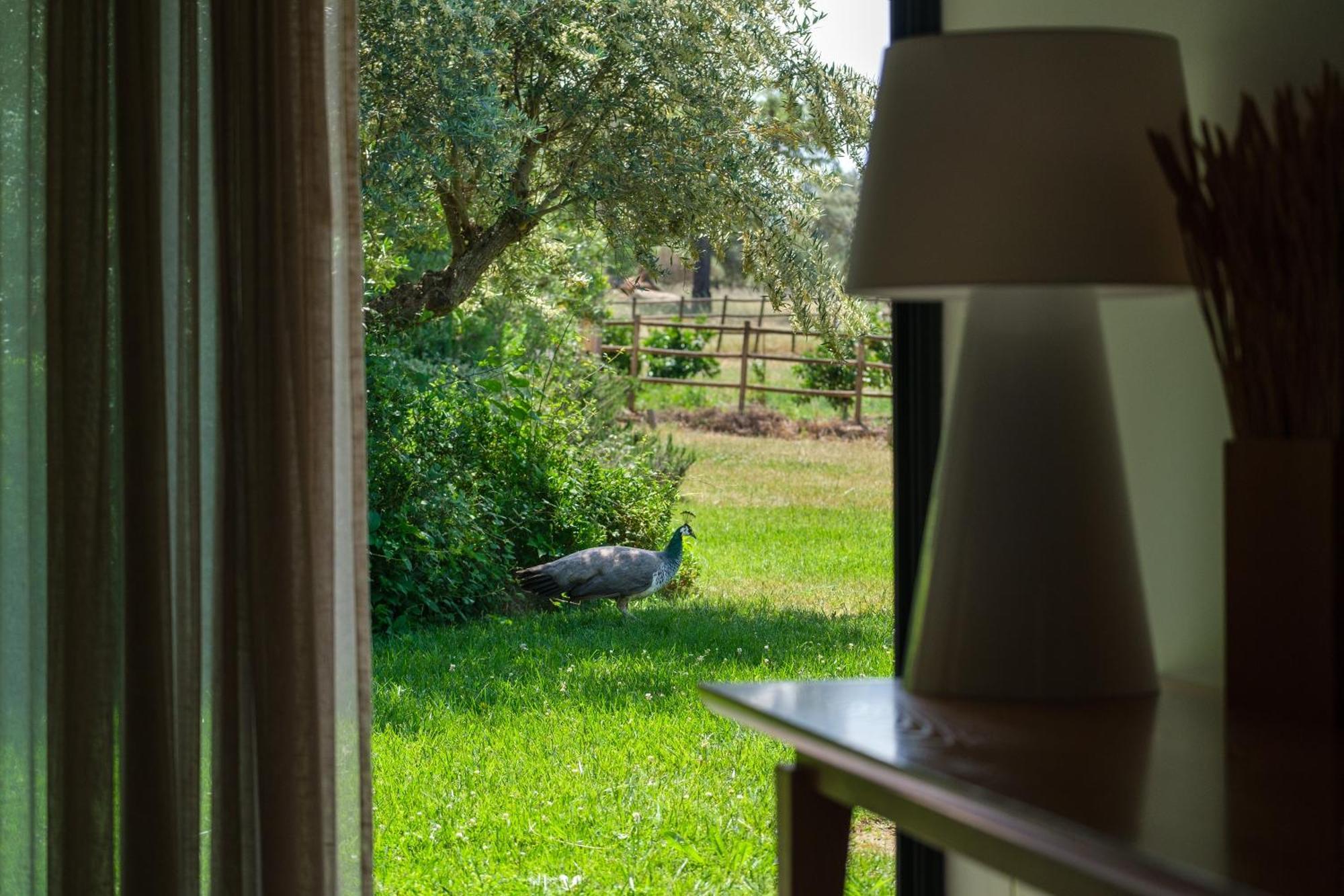 Herdade Da Cortesia Hotel Avis Esterno foto